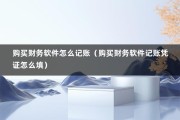 购买财务软件怎么记账（购买财务软件记账凭证怎么填）