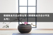 明细账本月合计怎么写（明细账本月合计平怎么写）