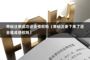 商标注册成功还会侵权吗（商标注册下来了还会造成侵权吗）