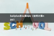 baiiplus怎么算npv（如何计算npp）