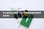 怎么查询山东发票（山东发票查询真伪查询系统官网）