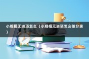 小规模无进项怎么（小规模无进项怎么做分录）