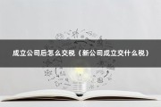 成立公司后怎么交税（新公司成立交什么税）