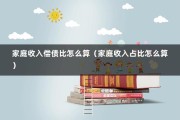 家庭收入偿债比怎么算（家庭收入占比怎么算）