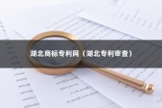 湖北商标专利网（湖北专利审查）