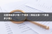 注册商标多少钱一个类别（商标注册一个类目多少钱）