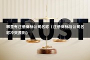 哪里有注册商标公司名称（注册商标与公司名称冲突原则）