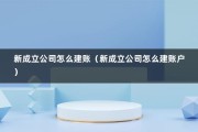 新成立公司怎么建账（新成立公司怎么建账户）