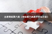 注册商标第六类（商标第六类属于什么行业）