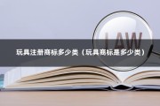 玩具注册商标多少类（玩具商标是多少类）