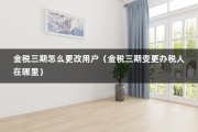 金税三期怎么更改用户（金税三期变更办税人在哪里）